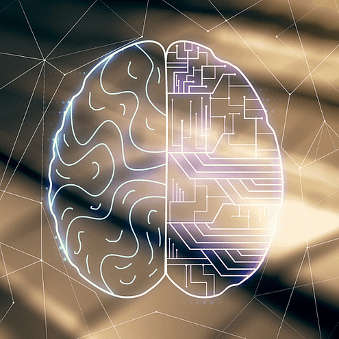 brain-2